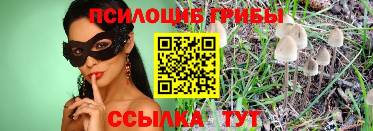 Галлюциногенные грибы мухоморы Кулебаки